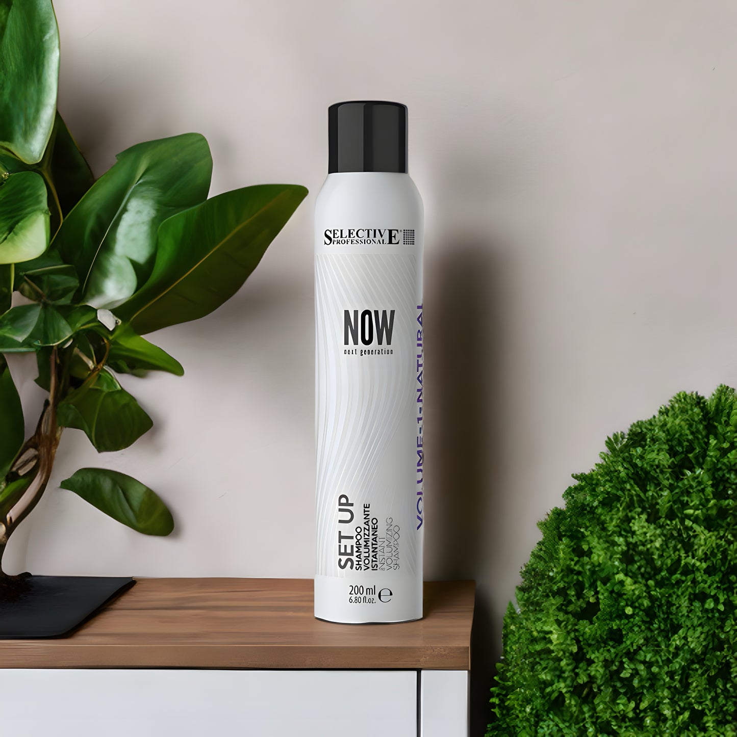 Now Set Up - Torr Schampo