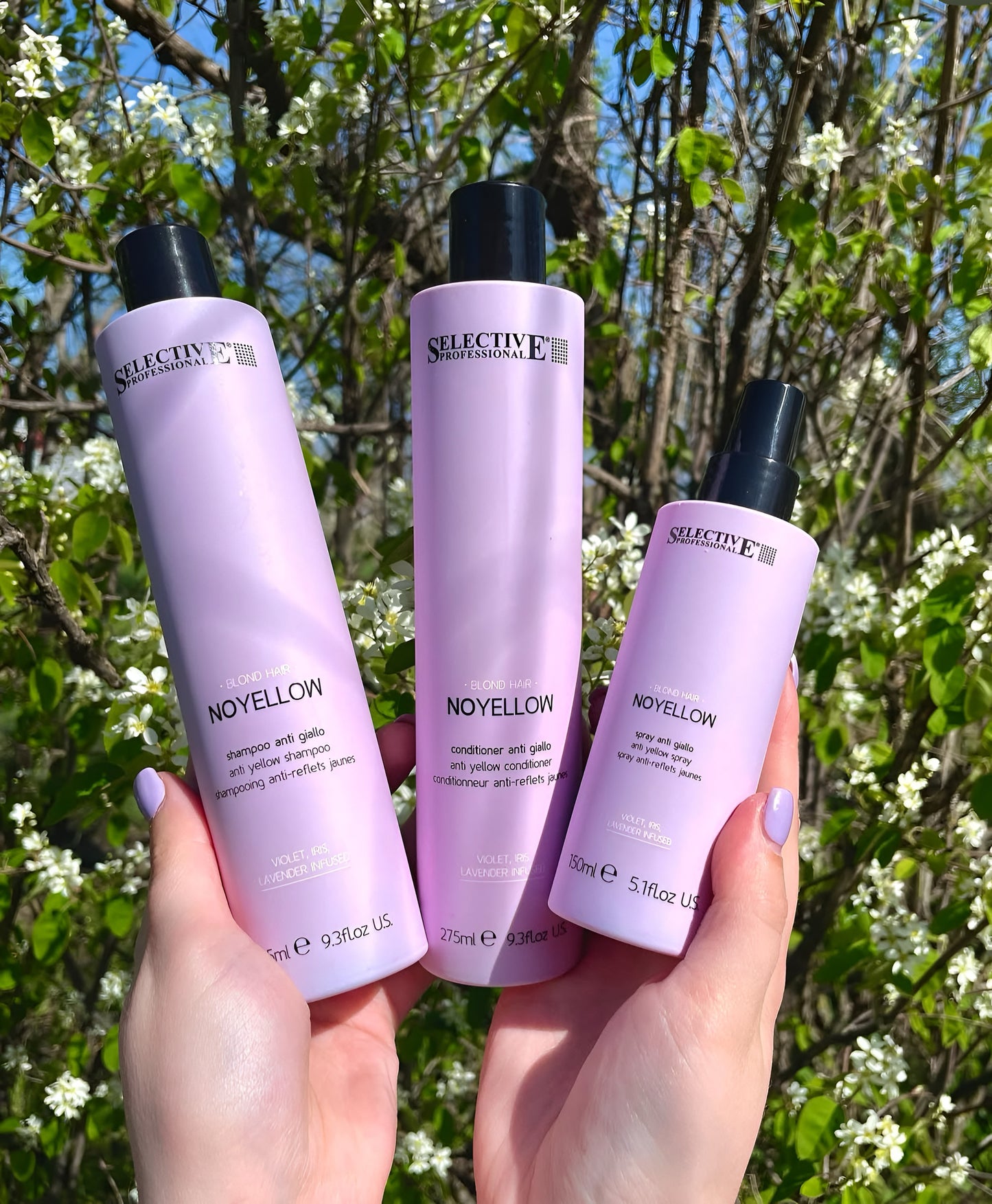 Silver hair care series